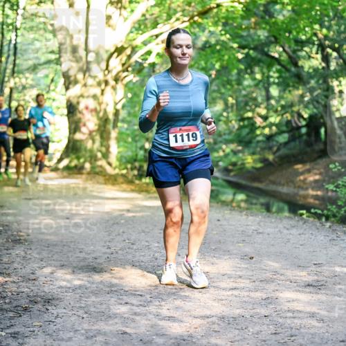 28.09.2025 - 33. Volkslauf durch das schöne Alstertal Dr. Thomas Lammeyer http://msf.ph/oto/8951584 28.09.2025 10:18:38 Laufen 1119 meine-sportfotos.de