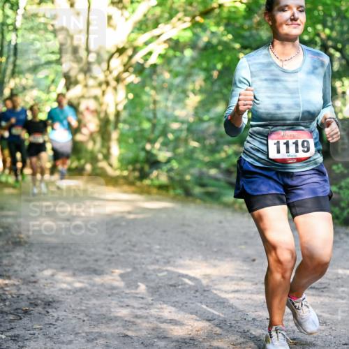 28.09.2025 - 33. Volkslauf durch das schöne Alstertal Dr. Thomas Lammeyer http://msf.ph/oto/8951589 28.09.2025 10:18:39 Laufen 1119 meine-sportfotos.de
