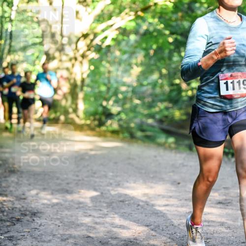28.09.2025 - 33. Volkslauf durch das schöne Alstertal Dr. Thomas Lammeyer http://msf.ph/oto/8951590 28.09.2025 10:18:39 Laufen 1119 meine-sportfotos.de