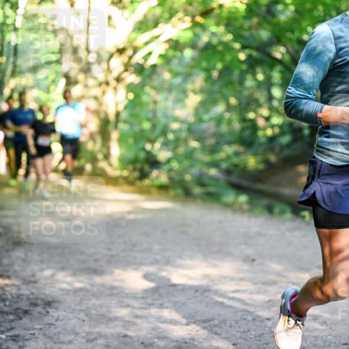 28.09.2025 - 33. Volkslauf durch das schöne Alstertal Dr. Thomas Lammeyer http://msf.ph/oto/8951591 28.09.2025 10:18:39 Laufen 19 meine-sportfotos.de