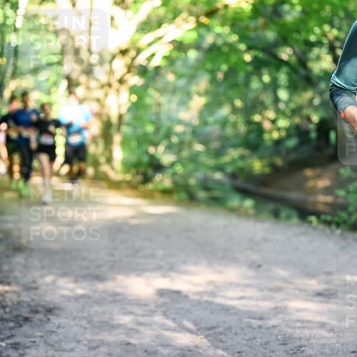 28.09.2025 - 33. Volkslauf durch das schöne Alstertal Dr. Thomas Lammeyer http://msf.ph/oto/8951592 28.09.2025 10:18:39 Laufen 111 meine-sportfotos.de