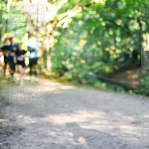 28.09.2025 - 33. Volkslauf durch das schöne Alstertal Dr. Thomas Lammeyer http://msf.ph/oto/8951593 28.09.2025 10:18:39 Laufen  meine-sportfotos.de