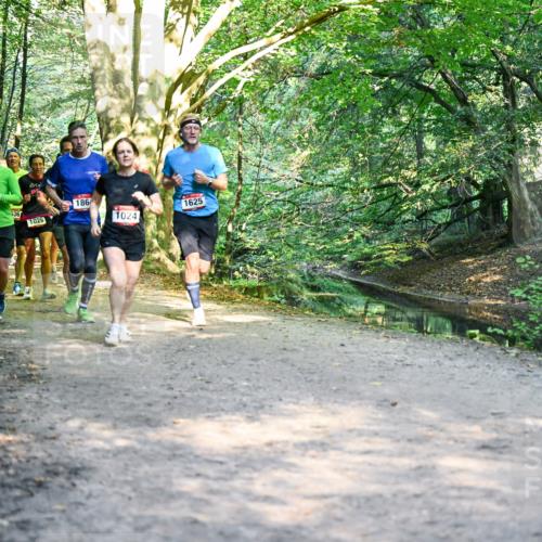28.09.2025 - 33. Volkslauf durch das schöne Alstertal Dr. Thomas Lammeyer http://msf.ph/oto/8951597 28.09.2025 10:18:41 Laufen 36, 34, 1026, 186, 1625, 1024 meine-sportfotos.de