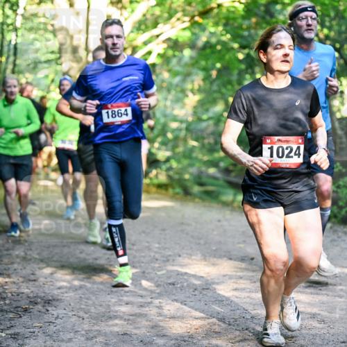 28.09.2025 - 33. Volkslauf durch das schöne Alstertal Dr. Thomas Lammeyer http://msf.ph/oto/8951613 28.09.2025 10:18:43 Laufen 1864, 1024 meine-sportfotos.de