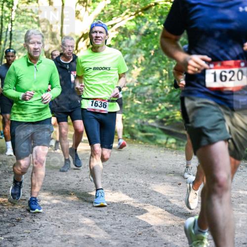 28.09.2025 - 33. Volkslauf durch das schöne Alstertal Dr. Thomas Lammeyer http://msf.ph/oto/8951623 28.09.2025 10:18:45 Laufen 1620, 1636 meine-sportfotos.de