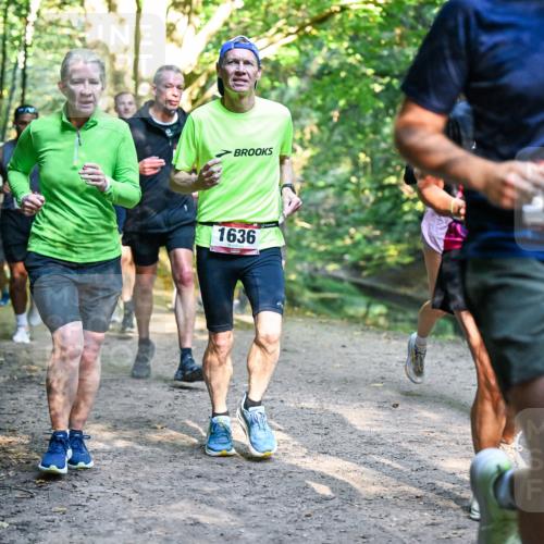 28.09.2025 - 33. Volkslauf durch das schöne Alstertal Dr. Thomas Lammeyer http://msf.ph/oto/8951624 28.09.2025 10:18:45 Laufen 1636, 620 meine-sportfotos.de