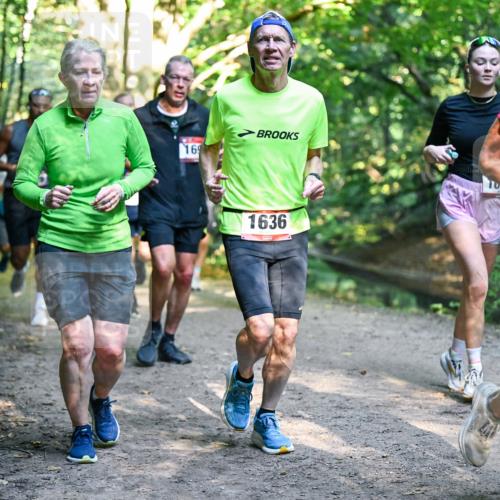 28.09.2025 - 33. Volkslauf durch das schöne Alstertal Dr. Thomas Lammeyer http://msf.ph/oto/8951626 28.09.2025 10:18:45 Laufen 169, 1636, 10 meine-sportfotos.de