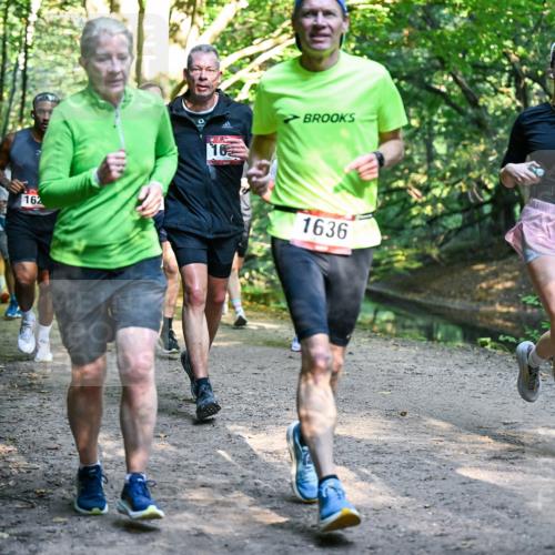 28.09.2025 - 33. Volkslauf durch das schöne Alstertal Dr. Thomas Lammeyer http://msf.ph/oto/8951627 28.09.2025 10:18:46 Laufen 162, 16, 1014, 1636 meine-sportfotos.de