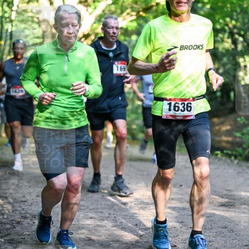 28.09.2025 - 33. Volkslauf durch das schöne Alstertal Dr. Thomas Lammeyer http://msf.ph/oto/8951629 28.09.2025 10:18:46 Laufen 169, 1636, 10 meine-sportfotos.de