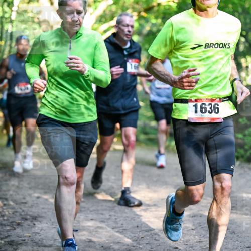 28.09.2025 - 33. Volkslauf durch das schöne Alstertal Dr. Thomas Lammeyer http://msf.ph/oto/8951630 28.09.2025 10:18:46 Laufen 16, 1636 meine-sportfotos.de
