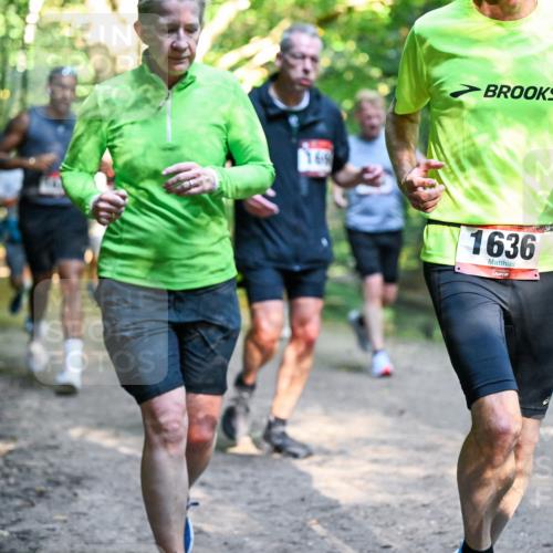 28.09.2025 - 33. Volkslauf durch das schöne Alstertal Dr. Thomas Lammeyer http://msf.ph/oto/8951631 28.09.2025 10:18:46 Laufen 1636 meine-sportfotos.de