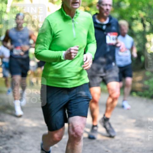 28.09.2025 - 33. Volkslauf durch das schöne Alstertal Dr. Thomas Lammeyer http://msf.ph/oto/8951634 28.09.2025 10:18:46 Laufen  meine-sportfotos.de