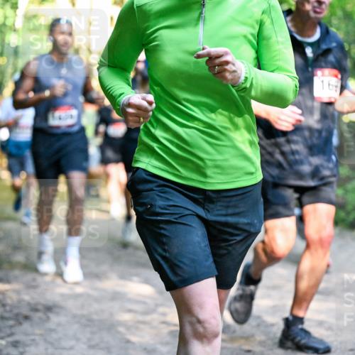 28.09.2025 - 33. Volkslauf durch das schöne Alstertal Dr. Thomas Lammeyer http://msf.ph/oto/8951636 28.09.2025 10:18:47 Laufen 169 meine-sportfotos.de