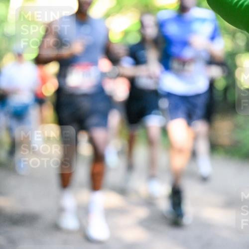 28.09.2025 - 33. Volkslauf durch das schöne Alstertal Dr. Thomas Lammeyer http://msf.ph/oto/8951640 28.09.2025 10:18:48 Laufen  meine-sportfotos.de
