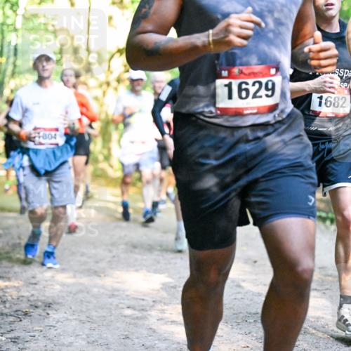 28.09.2025 - 33. Volkslauf durch das schöne Alstertal Dr. Thomas Lammeyer http://msf.ph/oto/8951641 28.09.2025 10:18:48 Laufen 804, 1629, 1682, 15 meine-sportfotos.de