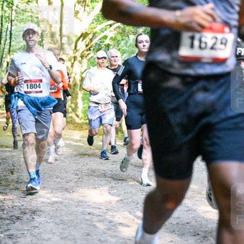 28.09.2025 - 33. Volkslauf durch das schöne Alstertal Dr. Thomas Lammeyer http://msf.ph/oto/8951642 28.09.2025 10:18:48 Laufen 1676, 1804, 60, 1639, 1629, 682, 163 meine-sportfotos.de