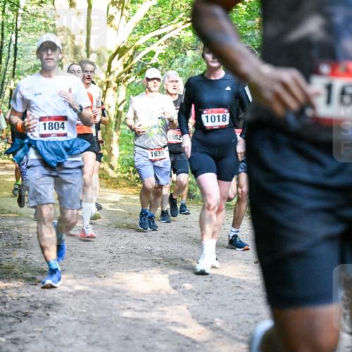 28.09.2025 - 33. Volkslauf durch das schöne Alstertal Dr. Thomas Lammeyer http://msf.ph/oto/8951643 28.09.2025 10:18:49 Laufen 1641, 1676, 1804, 1639, 1652, 1018, 1629, 682 meine-sportfotos.de