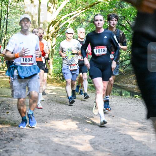 28.09.2025 - 33. Volkslauf durch das schöne Alstertal Dr. Thomas Lammeyer http://msf.ph/oto/8951644 28.09.2025 10:18:49 Laufen 641, 1676, 1804, 1639, 1018, 16, 17, 162 meine-sportfotos.de