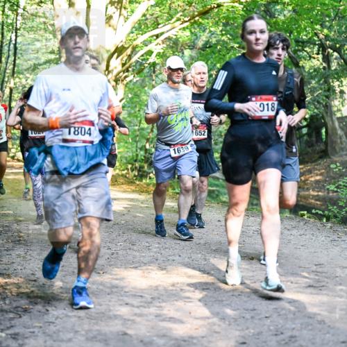 28.09.2025 - 33. Volkslauf durch das schöne Alstertal Dr. Thomas Lammeyer http://msf.ph/oto/8951646 28.09.2025 10:18:49 Laufen 1676, 1804, 1639, 1652, 918 meine-sportfotos.de