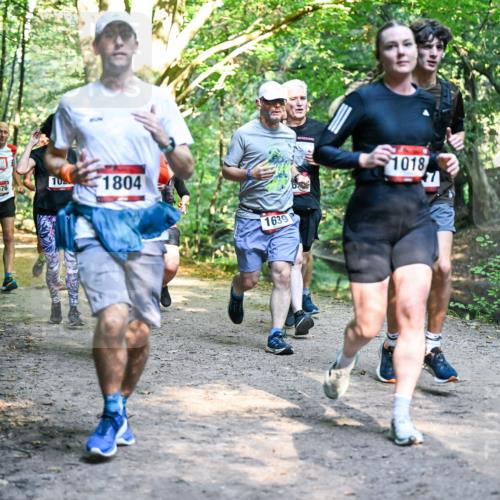 28.09.2025 - 33. Volkslauf durch das schöne Alstertal Dr. Thomas Lammeyer http://msf.ph/oto/8951647 28.09.2025 10:18:49 Laufen 1641, 10, 1676, 1804, 1639, 1018 meine-sportfotos.de