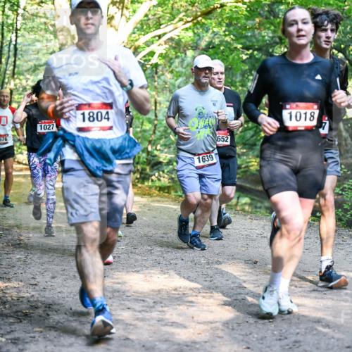 28.09.2025 - 33. Volkslauf durch das schöne Alstertal Dr. Thomas Lammeyer http://msf.ph/oto/8951648 28.09.2025 10:18:49 Laufen 1676, 1027, 1804, 1639, 652, 1018, 7 meine-sportfotos.de