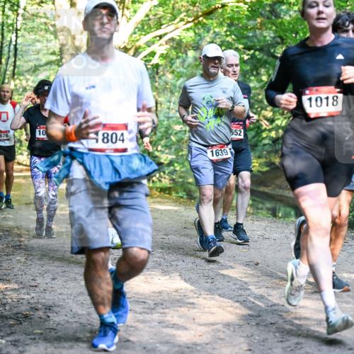 28.09.2025 - 33. Volkslauf durch das schöne Alstertal Dr. Thomas Lammeyer http://msf.ph/oto/8951649 28.09.2025 10:18:49 Laufen 10, 1676, 804, 10, 1639, 552, 1018 meine-sportfotos.de