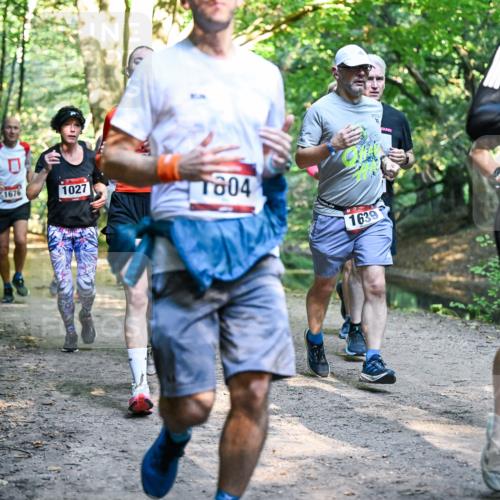 28.09.2025 - 33. Volkslauf durch das schöne Alstertal Dr. Thomas Lammeyer http://msf.ph/oto/8951650 28.09.2025 10:18:50 Laufen 1676, 1027, 1804, 1639, 1018 meine-sportfotos.de