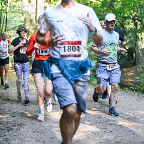 28.09.2025 - 33. Volkslauf durch das schöne Alstertal Dr. Thomas Lammeyer http://msf.ph/oto/8951651 28.09.2025 10:18:50 Laufen 102, 1060, 1804, 1639 meine-sportfotos.de