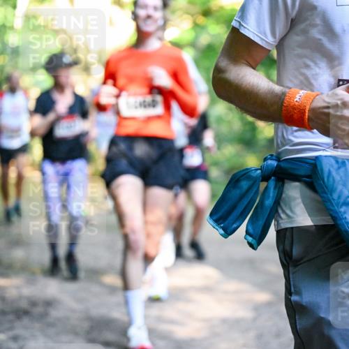 28.09.2025 - 33. Volkslauf durch das schöne Alstertal Dr. Thomas Lammeyer http://msf.ph/oto/8951655 28.09.2025 10:18:50 Laufen 04 meine-sportfotos.de