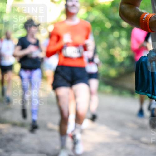 28.09.2025 - 33. Volkslauf durch das schöne Alstertal Dr. Thomas Lammeyer http://msf.ph/oto/8951656 28.09.2025 10:18:51 Laufen  meine-sportfotos.de