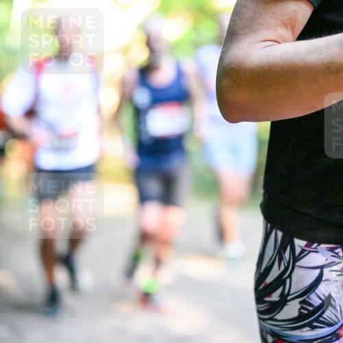 28.09.2025 - 33. Volkslauf durch das schöne Alstertal Dr. Thomas Lammeyer http://msf.ph/oto/8951660 28.09.2025 10:18:53 Laufen  meine-sportfotos.de