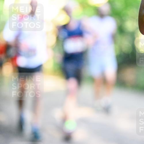 28.09.2025 - 33. Volkslauf durch das schöne Alstertal Dr. Thomas Lammeyer http://msf.ph/oto/8951661 28.09.2025 10:18:53 Laufen  meine-sportfotos.de