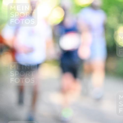 28.09.2025 - 33. Volkslauf durch das schöne Alstertal Dr. Thomas Lammeyer http://msf.ph/oto/8951662 28.09.2025 10:18:53 Laufen  meine-sportfotos.de