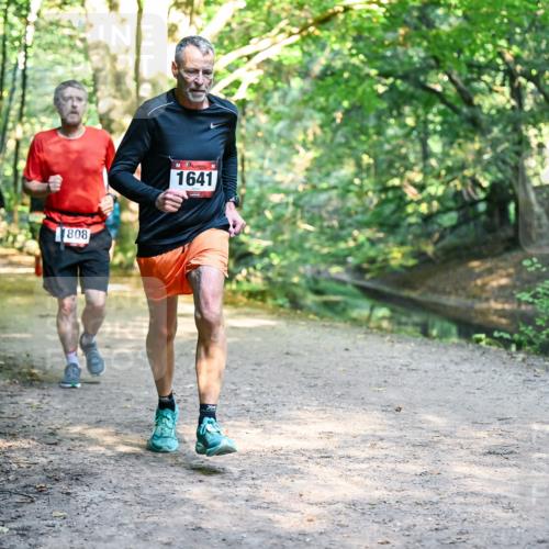 28.09.2025 - 33. Volkslauf durch das schöne Alstertal Dr. Thomas Lammeyer http://msf.ph/oto/8951664 28.09.2025 10:18:55 Laufen 808, 1641 meine-sportfotos.de