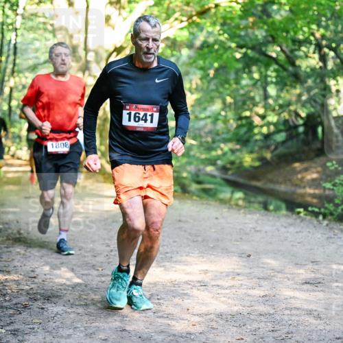 28.09.2025 - 33. Volkslauf durch das schöne Alstertal Dr. Thomas Lammeyer http://msf.ph/oto/8951666 28.09.2025 10:18:55 Laufen 1808, 1641 meine-sportfotos.de