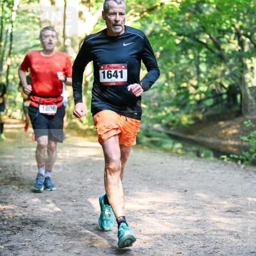 28.09.2025 - 33. Volkslauf durch das schöne Alstertal Dr. Thomas Lammeyer http://msf.ph/oto/8951667 28.09.2025 10:18:55 Laufen 1808, 1641 meine-sportfotos.de