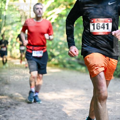 28.09.2025 - 33. Volkslauf durch das schöne Alstertal Dr. Thomas Lammeyer http://msf.ph/oto/8951670 28.09.2025 10:18:56 Laufen 1809, 1641 meine-sportfotos.de