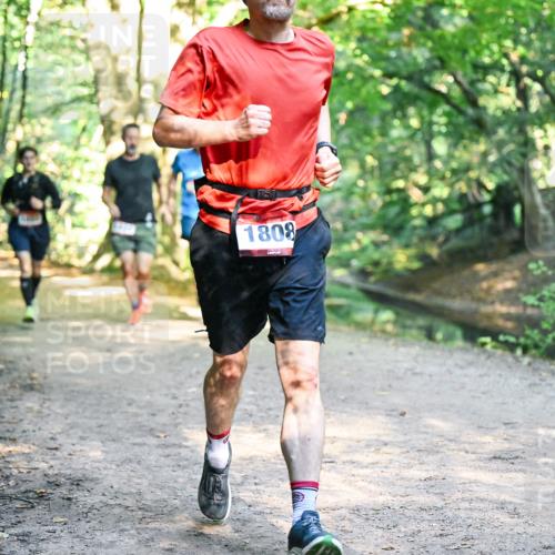 28.09.2025 - 33. Volkslauf durch das schöne Alstertal Dr. Thomas Lammeyer http://msf.ph/oto/8951672 28.09.2025 10:18:56 Laufen 1808 meine-sportfotos.de