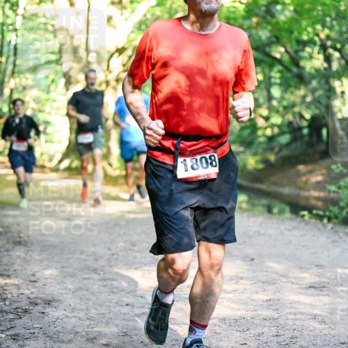 28.09.2025 - 33. Volkslauf durch das schöne Alstertal Dr. Thomas Lammeyer http://msf.ph/oto/8951673 28.09.2025 10:18:57 Laufen 1808 meine-sportfotos.de