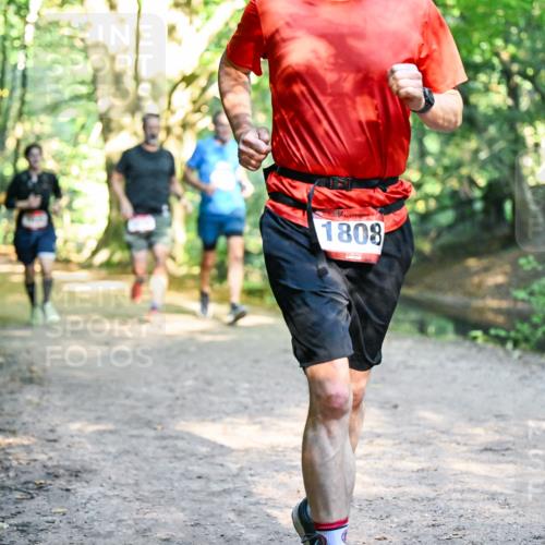28.09.2025 - 33. Volkslauf durch das schöne Alstertal Dr. Thomas Lammeyer http://msf.ph/oto/8951674 28.09.2025 10:18:57 Laufen 1808 meine-sportfotos.de