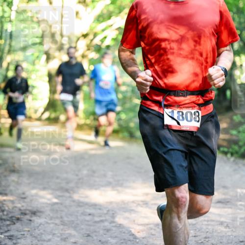 28.09.2025 - 33. Volkslauf durch das schöne Alstertal Dr. Thomas Lammeyer http://msf.ph/oto/8951675 28.09.2025 10:18:57 Laufen 808 meine-sportfotos.de