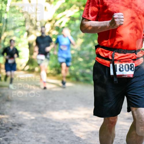 28.09.2025 - 33. Volkslauf durch das schöne Alstertal Dr. Thomas Lammeyer http://msf.ph/oto/8951676 28.09.2025 10:18:57 Laufen 1808 meine-sportfotos.de