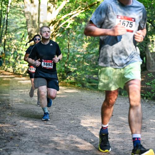 28.09.2025 - 33. Volkslauf durch das schöne Alstertal Dr. Thomas Lammeyer http://msf.ph/oto/8951703 28.09.2025 10:19:01 Laufen 1011, 1692, 1675 meine-sportfotos.de