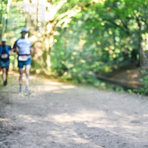 28.09.2025 - 33. Volkslauf durch das schöne Alstertal Dr. Thomas Lammeyer http://msf.ph/oto/8951719 28.09.2025 10:19:04 Laufen 101 meine-sportfotos.de
