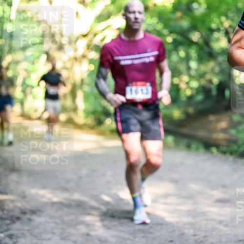 28.09.2025 - 33. Volkslauf durch das schöne Alstertal Dr. Thomas Lammeyer http://msf.ph/oto/8951742 28.09.2025 10:19:08 Laufen 819 meine-sportfotos.de