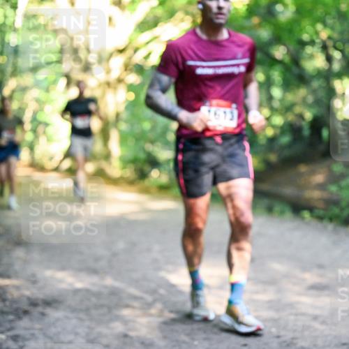 28.09.2025 - 33. Volkslauf durch das schöne Alstertal Dr. Thomas Lammeyer http://msf.ph/oto/8951743 28.09.2025 10:19:08 Laufen 1613 meine-sportfotos.de