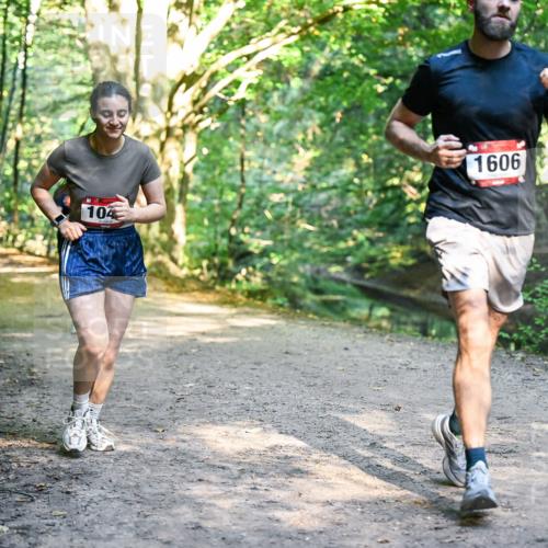 28.09.2025 - 33. Volkslauf durch das schöne Alstertal Dr. Thomas Lammeyer http://msf.ph/oto/8951756 28.09.2025 10:19:11 Laufen 1606, 104 meine-sportfotos.de