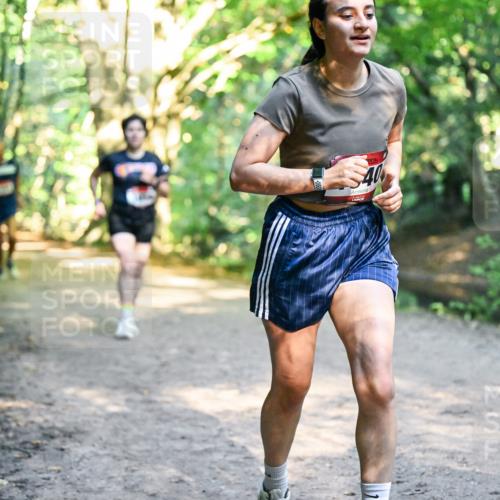28.09.2025 - 33. Volkslauf durch das schöne Alstertal Dr. Thomas Lammeyer http://msf.ph/oto/8951764 28.09.2025 10:19:12 Laufen 40 meine-sportfotos.de