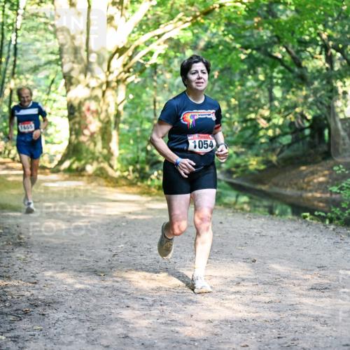 28.09.2025 - 33. Volkslauf durch das schöne Alstertal Dr. Thomas Lammeyer http://msf.ph/oto/8951770 28.09.2025 10:19:13 Laufen 1655, 1054 meine-sportfotos.de