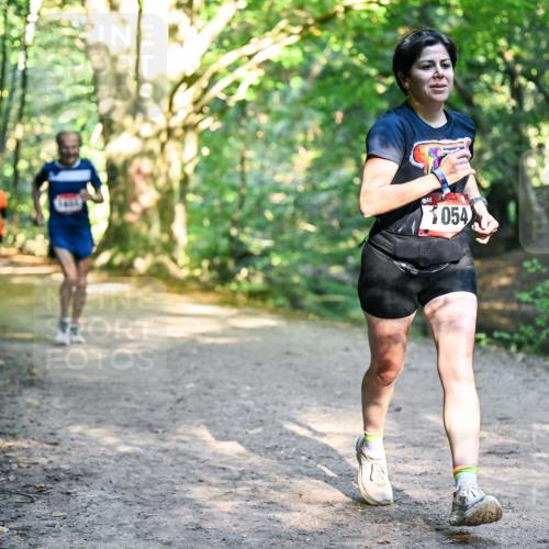 28.09.2025 - 33. Volkslauf durch das schöne Alstertal Dr. Thomas Lammeyer http://msf.ph/oto/8951774 28.09.2025 10:19:14 Laufen 054 meine-sportfotos.de